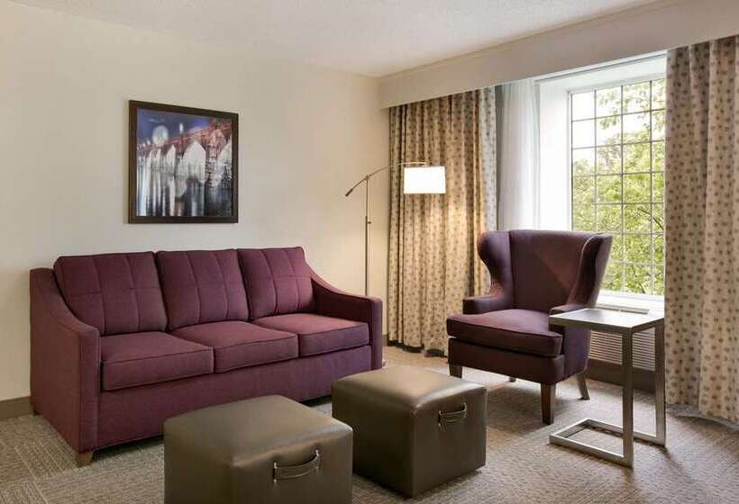 Standard-huone King-vuode, Hampton Inn Bellevue / Nashvillei40 West