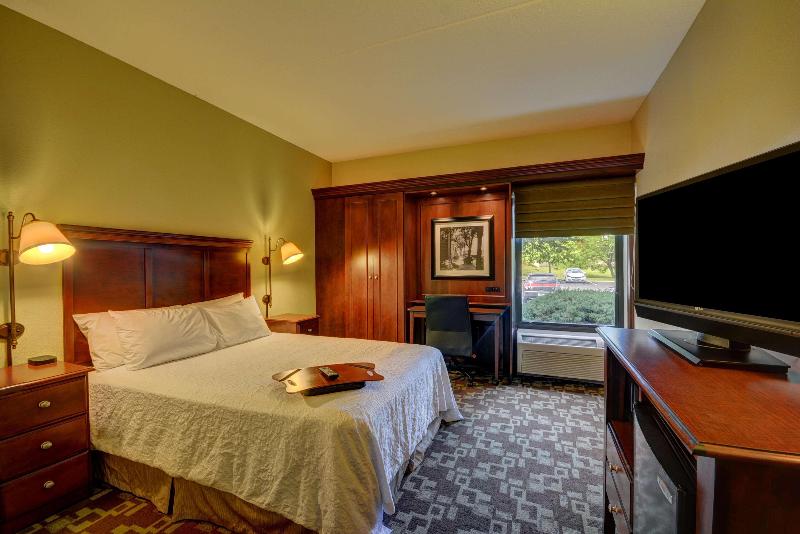 Deluxe-huone King-vuode, Hampton Inn By Hilton Indianapolis South