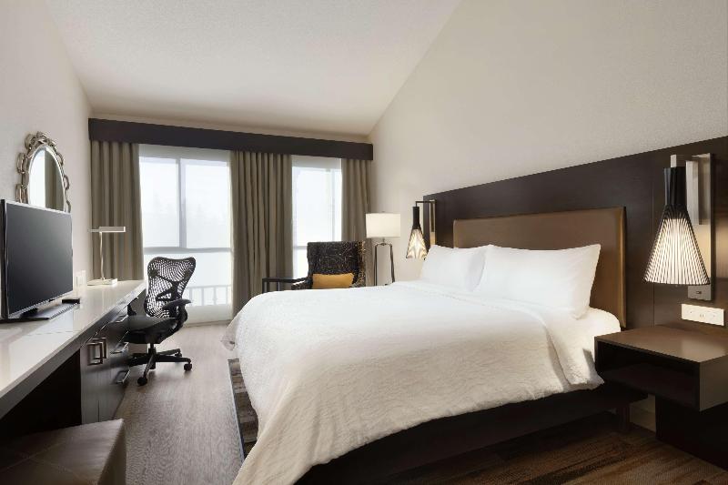 带大床的豪华间, Hilton Garden Inn Cupertino