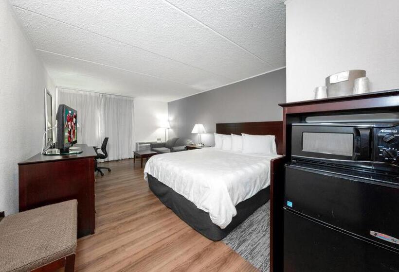 디럭스 룸 킹사이즈 침대, Red Roof Inn Plus Newark Liberty Airport   Carteret