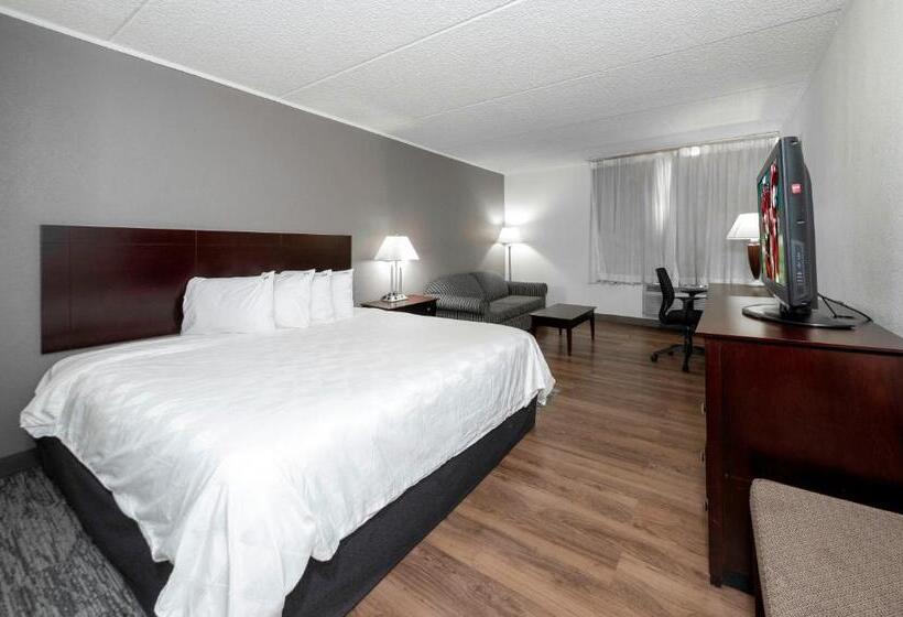 디럭스 룸 킹사이즈 침대, Red Roof Inn Plus Newark Liberty Airport   Carteret