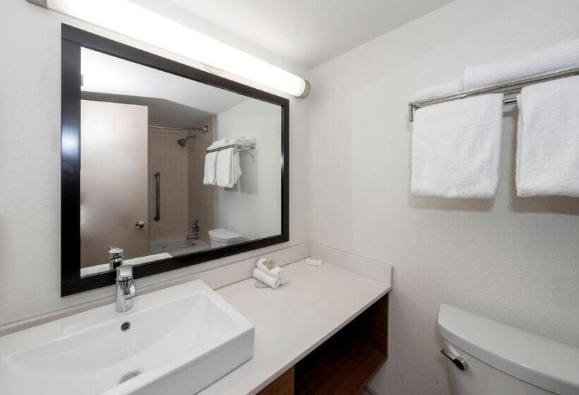 프리미엄 룸, Red Roof Inn Plus Newark Liberty Airport   Carteret