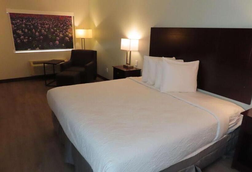 חדר סטנדרט עם מיטת קינג, Best Western Childress West