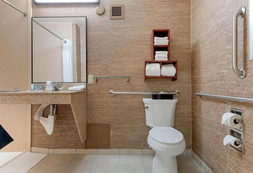 Номер Стандарт Кровать Кинг Адаптированный для Инвалидов, Best Western Fairmont