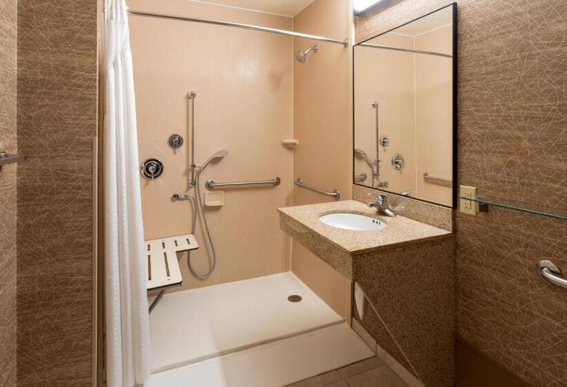 Номер Стандарт Кровать Кинг Адаптированный для Инвалидов, Best Western Fairmont