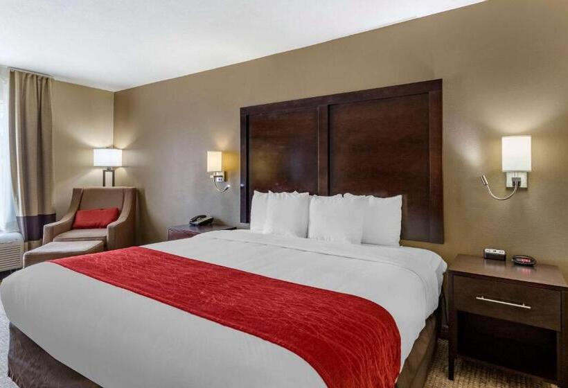 Стандартный Номер Кровать Кинг, Comfort Inn & Suites Fm1960 Champions