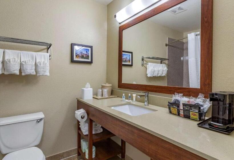 اتاق استاندارد با تخت بزرگ, Comfort Inn & Suites Fm1960 Champions