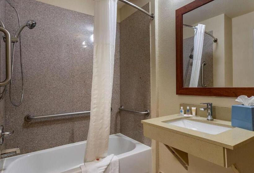 سوئیت با تخت بزرگ, Comfort Inn & Suites Fm1960 Champions