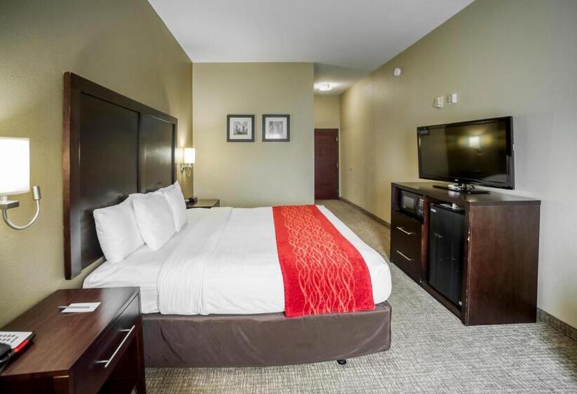 Номер Стандарт Кровать Кинг Адаптированный для Инвалидов, Comfort Inn & Suites Fm1960 Champions