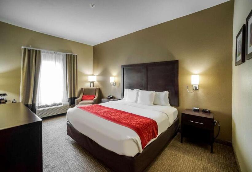 اتاق استاندارد با تخت بزرگ, Comfort Inn & Suites Fm1960 Champions