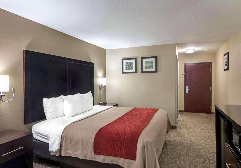 اتاق استاندارد با تخت بزرگ, Comfort Inn & Suites Fm1960 Champions