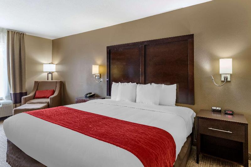 اتاق استاندارد با تخت بزرگ, Comfort Inn & Suites Fm1960 Champions