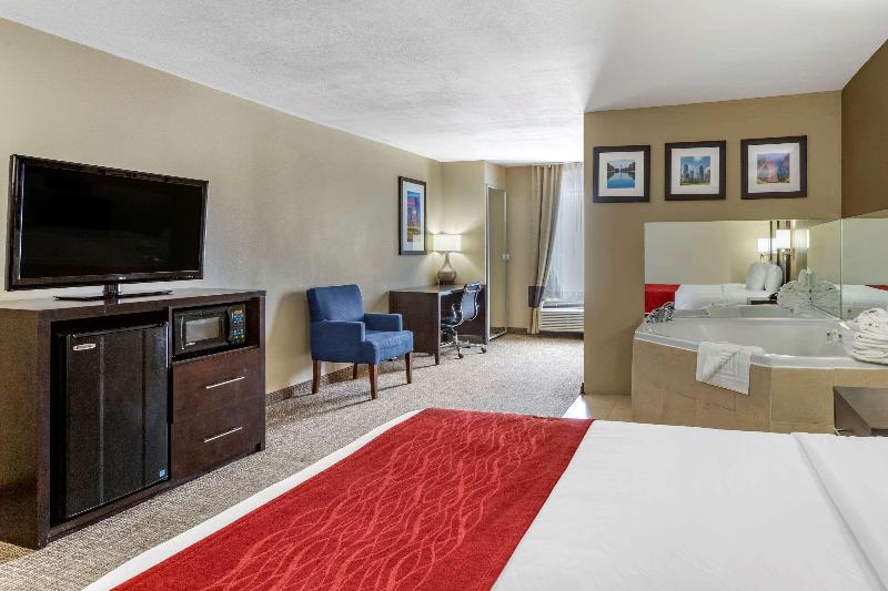 سوئیت با تخت بزرگ, Comfort Inn & Suites Fm1960 Champions