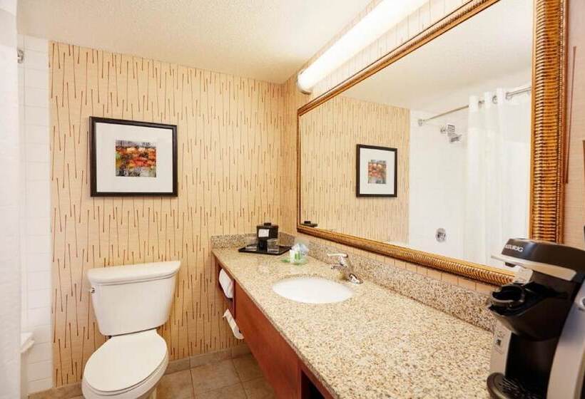 Номер Стандарт, Holiday Inn Cincinnati Airport, An Ihg