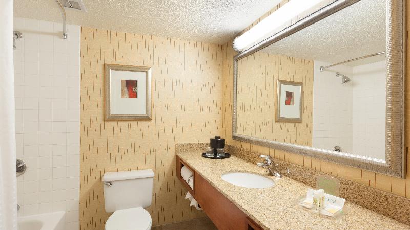 Номер Стандарт, Holiday Inn Cincinnati Airport, An Ihg