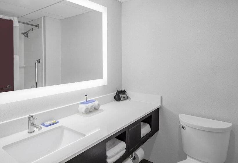 اتاق استاندارد, Holiday Inn Express & Suites Asheville Sw   Outlet Ctr Area, An Ihg