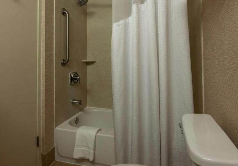 Стандартный Номер Кровать Кинг, Holiday Inn Santa Ana Orange County Airport, An Ihg