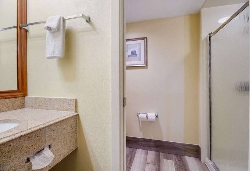 Номер Стандарт, Quality Inn Baytown  Houston East