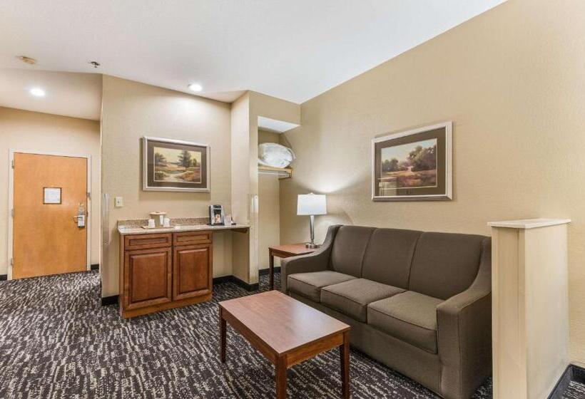 Люкс Кровать Кинг, Quality Inn & Suites Hendersonville  Flat Rock