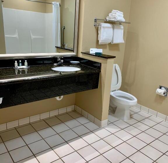 Стандартный Номер Кровать Кинг, Quality Inn & Suites Hendersonville  Flat Rock