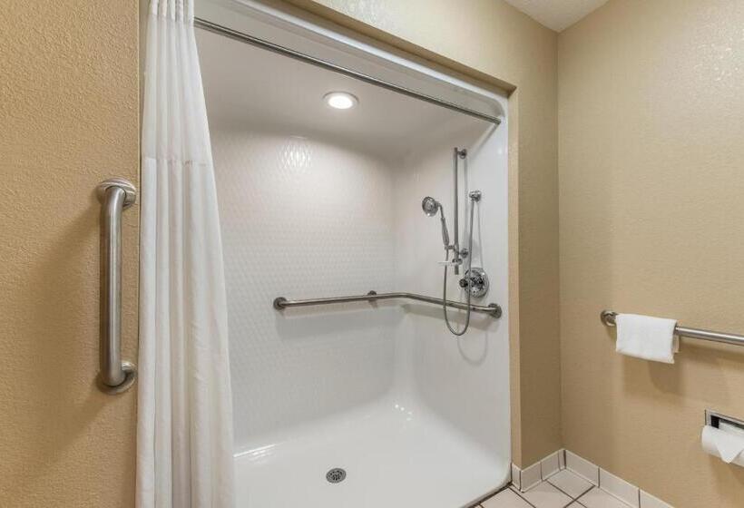 Номер Стандарт Адаптированный для Инвалидов, Quality Inn & Suites Hendersonville  Flat Rock