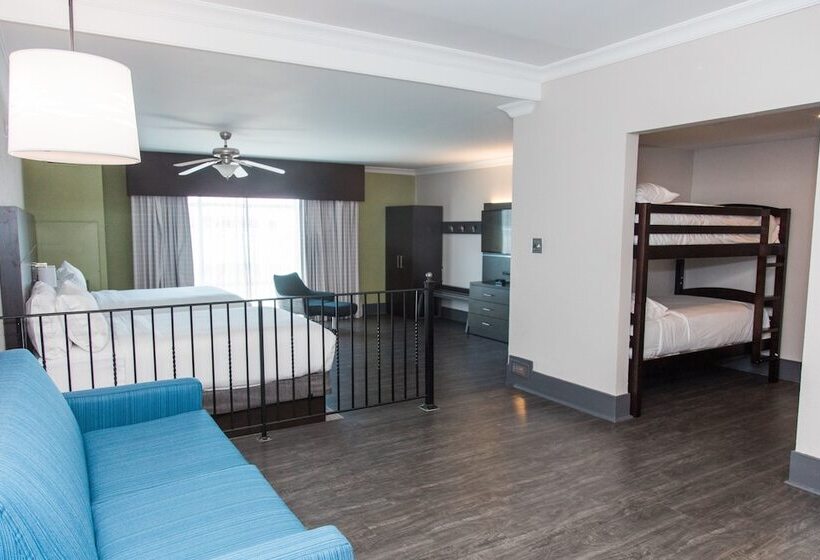 스위트, Holiday Inn Express Hotel & Suites Columbia Fort Jackson, An Ihg