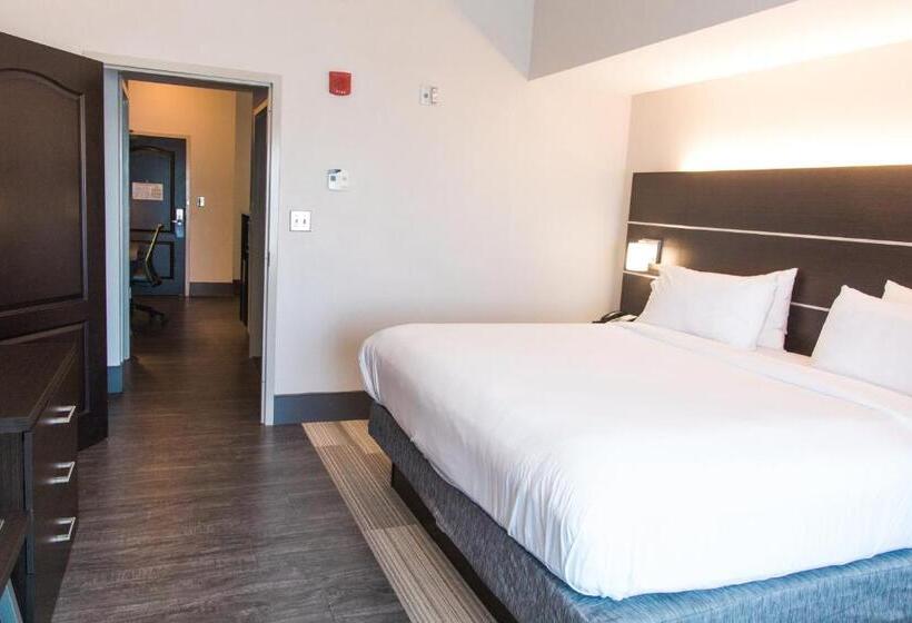 디럭스 스위트, Holiday Inn Express Hotel & Suites Columbia Fort Jackson, An Ihg