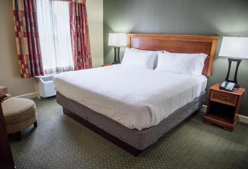 Стандартный Номер Кровать Кинг, Holiday Inn Express Hotel & Suites Conover   Hickory Area, An Ihg