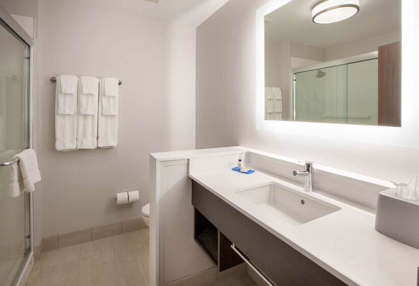 스탠다드 룸, Holiday Inn Express & Suites Troy By Ihg