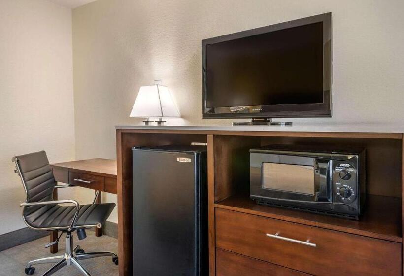适合残疾人士使用的带超级大床的标准间, Quality Inn And Suites Palatka Riverfront