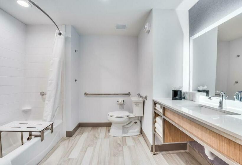 اتاق استاندارد با تخت بزرگ برای معلولان, Hilton Garden Inn North Dallas Central Expy