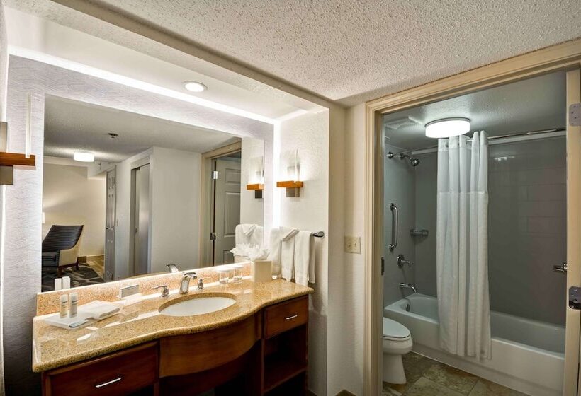 带2个卧室的套房, Homewood Suites By Hilton San Antonionorthwest