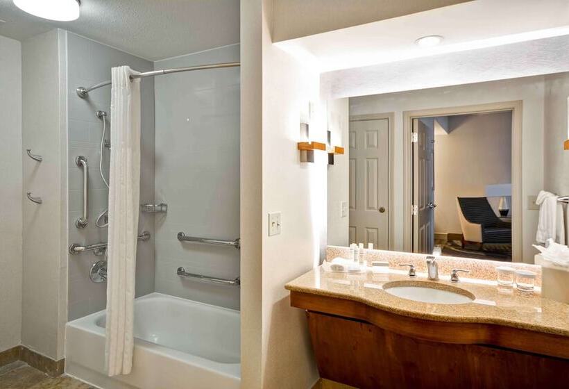 适合残疾人士使用的套间, Homewood Suites By Hilton San Antonionorthwest
