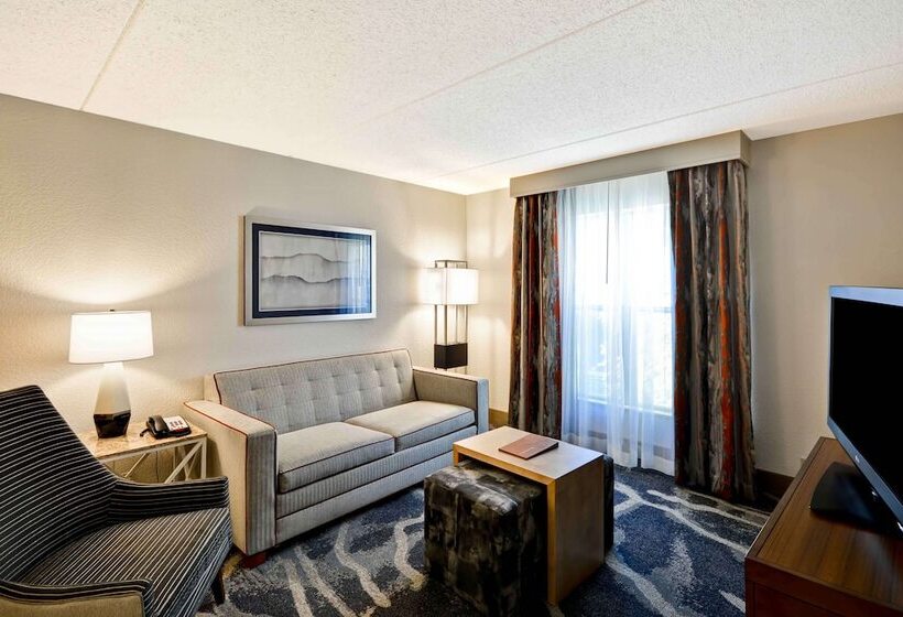 适合残疾人士使用的套间, Homewood Suites By Hilton San Antonionorthwest