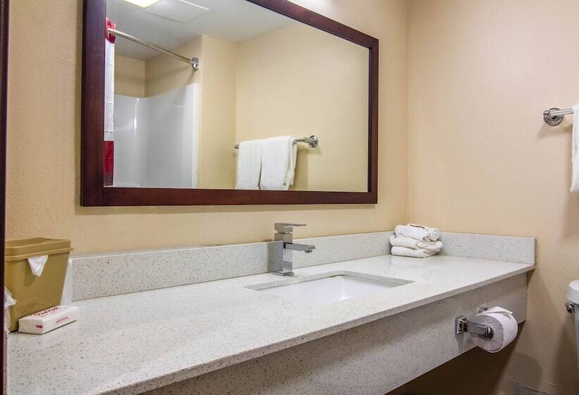Номер Superior Адаптированный для Инвалидов, Red Roof Inn Perrysburg