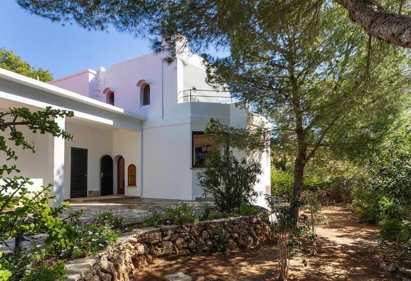 Апартаменты Deluxe 1 Спальня, Apartamentos Cala Murada Tennis
