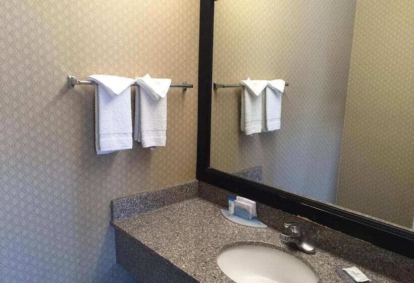 اتاق لوکس با تخت بزرگ, Regency Inn At San Francisco Airport