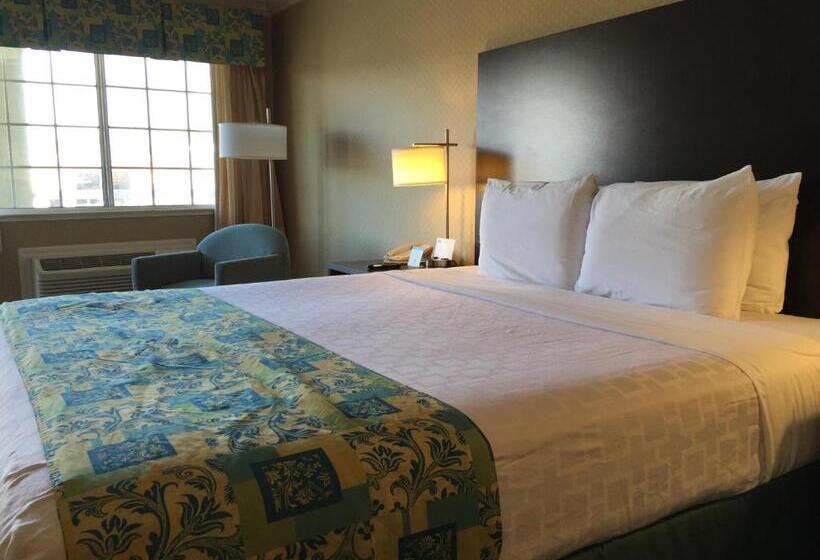 Номер Стандарт Кровать Кинг Адаптированный для Инвалидов, Regency Inn At San Francisco Airport