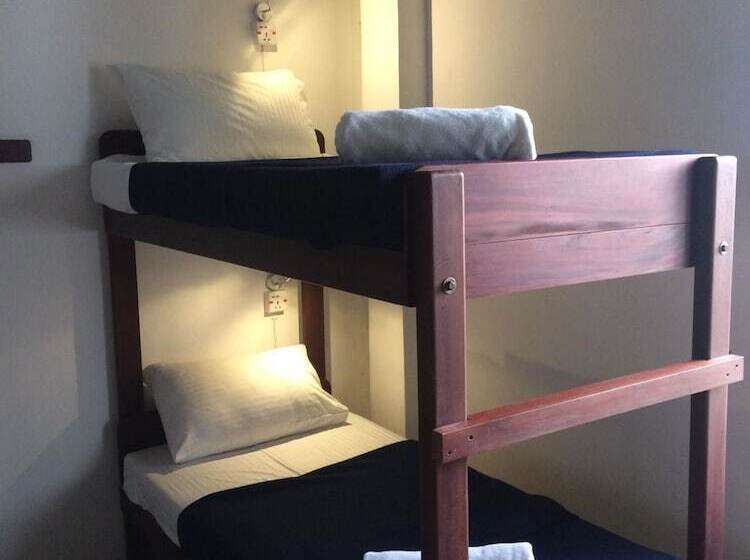 تختخواب در اتاق مشترک, Funk Bunk   Mount View Lodge