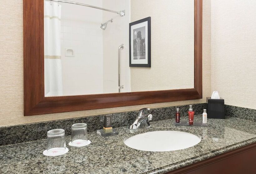 اتاق استاندارد با 2 تخت دوبل, Pittsburgh Marriott City Center