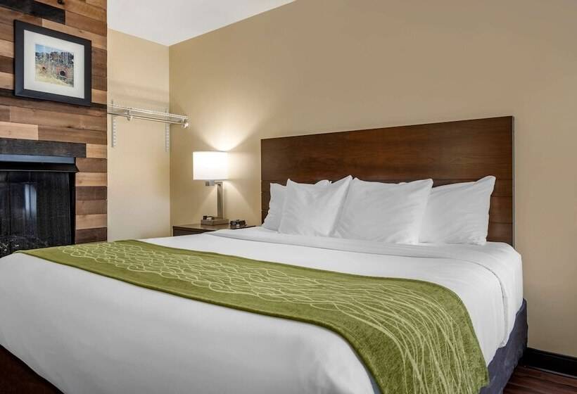스탠다드 룸 더블 침대, Comfort Inn