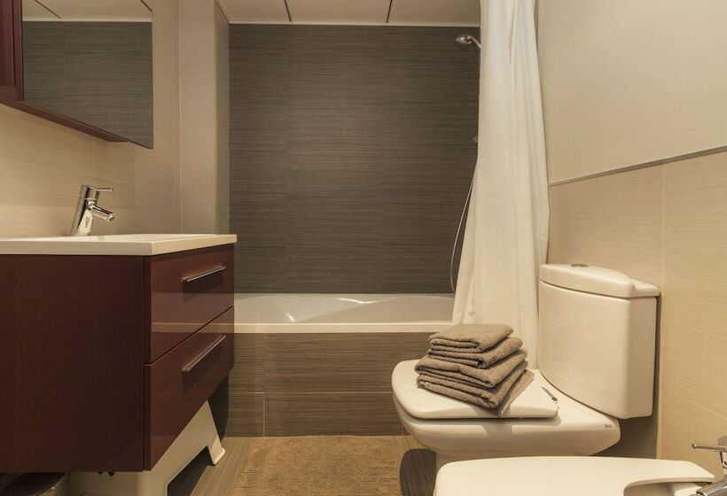 شقة ديلوكس غرفة واحدة, Apartamentos Elcano