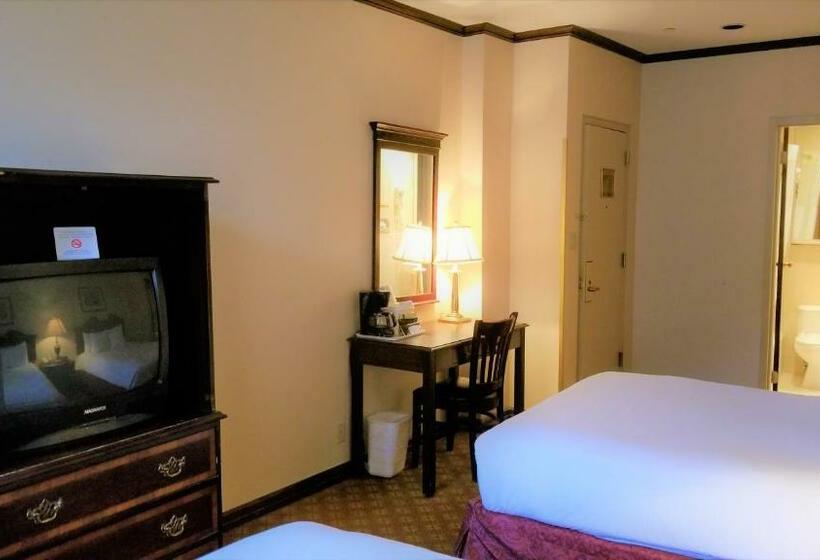 اتاق استاندارد با 2 تخت دوبل, Night Hotel Broadway