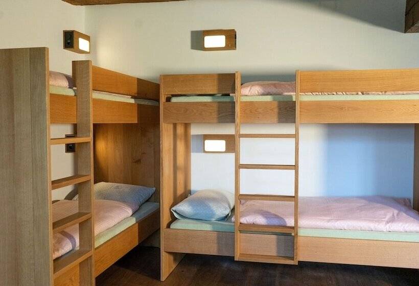 Номер Стандарт Четырехместный Совместный Санузел, Schloss Burgdorf Youth Hostel