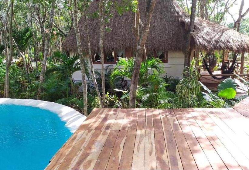 Люкс с Террасой, Boutique Chacá