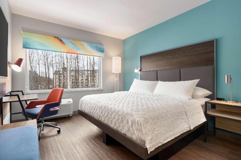 带大床的标准间, Tru By Hilton Albany Airport, Ny
