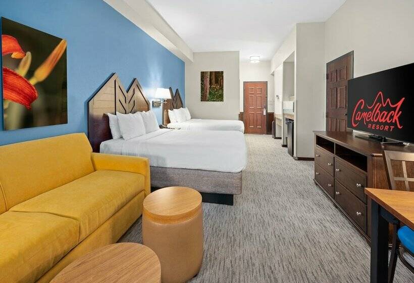 스위트 퀸침대, Camelback Resort