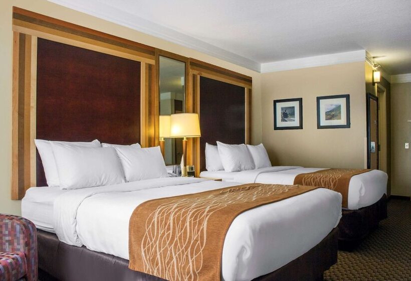 Номер Стандарт 2 Двуспальные Кровати, Comfort Inn & Suites Durango