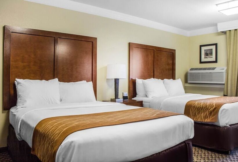 Номер Стандарт 2 Двуспальные Кровати, Comfort Inn & Suites Durango