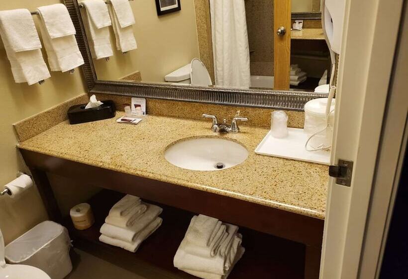 Люкс, Comfort Inn & Suites Durango